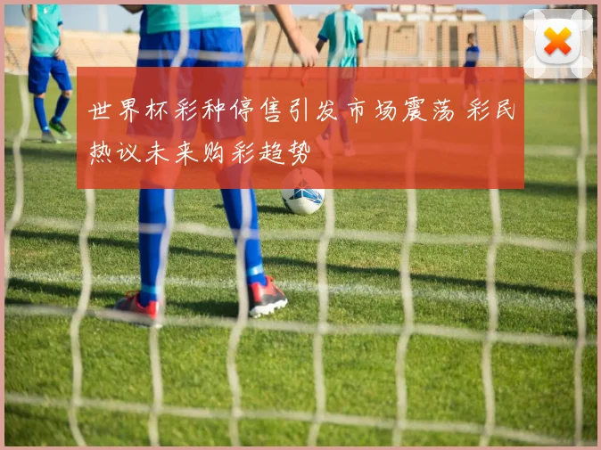 世界杯彩种停售引发市场震荡 彩民热议未来购彩趋势