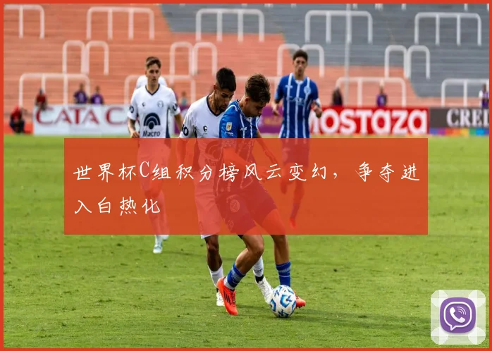 世界杯C组积分榜风云变幻,争夺进入白热化