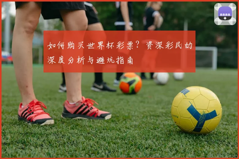 如何购买世界杯彩票?资深彩民的深度分析与避坑指南