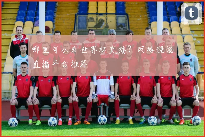 哪里可以看世界杯直播?网络现场直播平台推荐