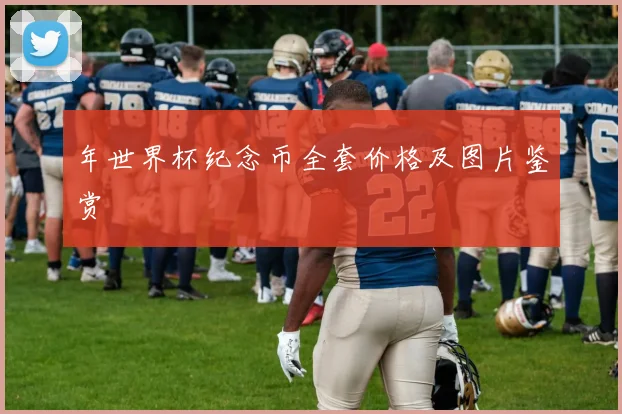 年世界杯纪念币全套价格及图片鉴赏