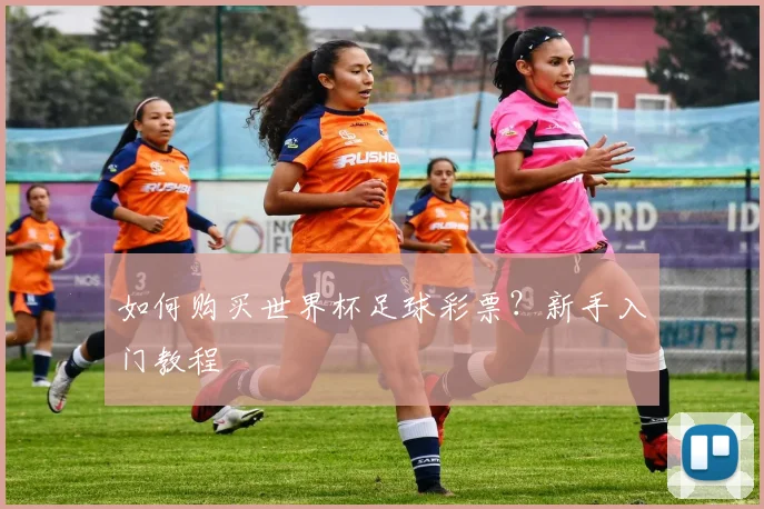 如何购买世界杯足球彩票?新手入门教程