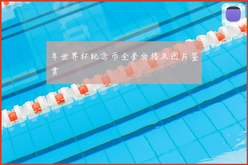 年世界杯纪念币全套价格及图片鉴赏