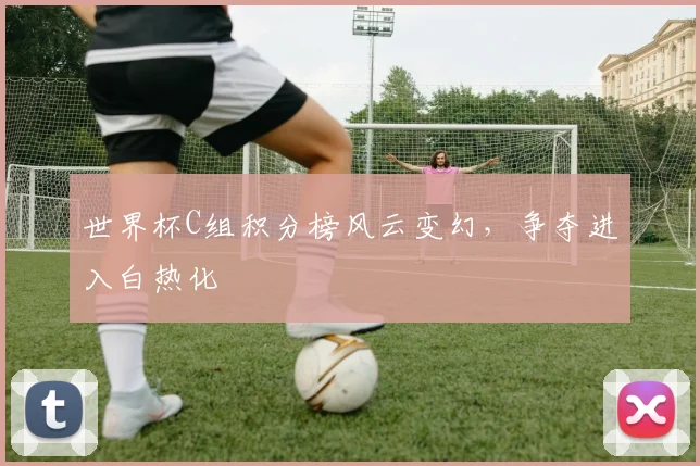 世界杯C组积分榜风云变幻,争夺进入白热化