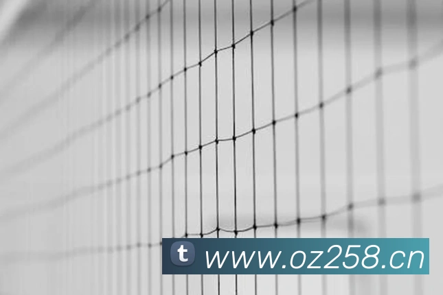 九游9官网入口APP 高清赛事图